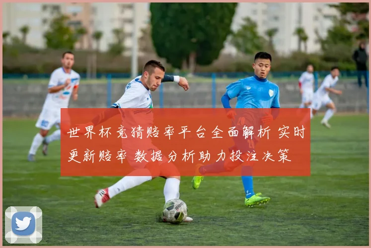 世界杯竞猜赔率平台全面解析 实时更新赔率 数据分析助力投注决策