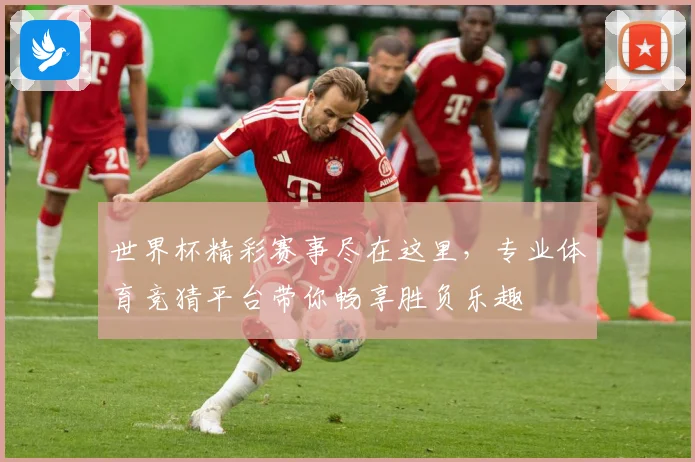 世界杯精彩赛事尽在这里，专业体育竞猜平台带你畅享胜负乐趣